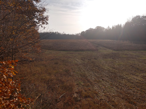 Nature Preserve «Leonard Preserve», reviews and photos, N Union St, Manchester, MI 48158, USA