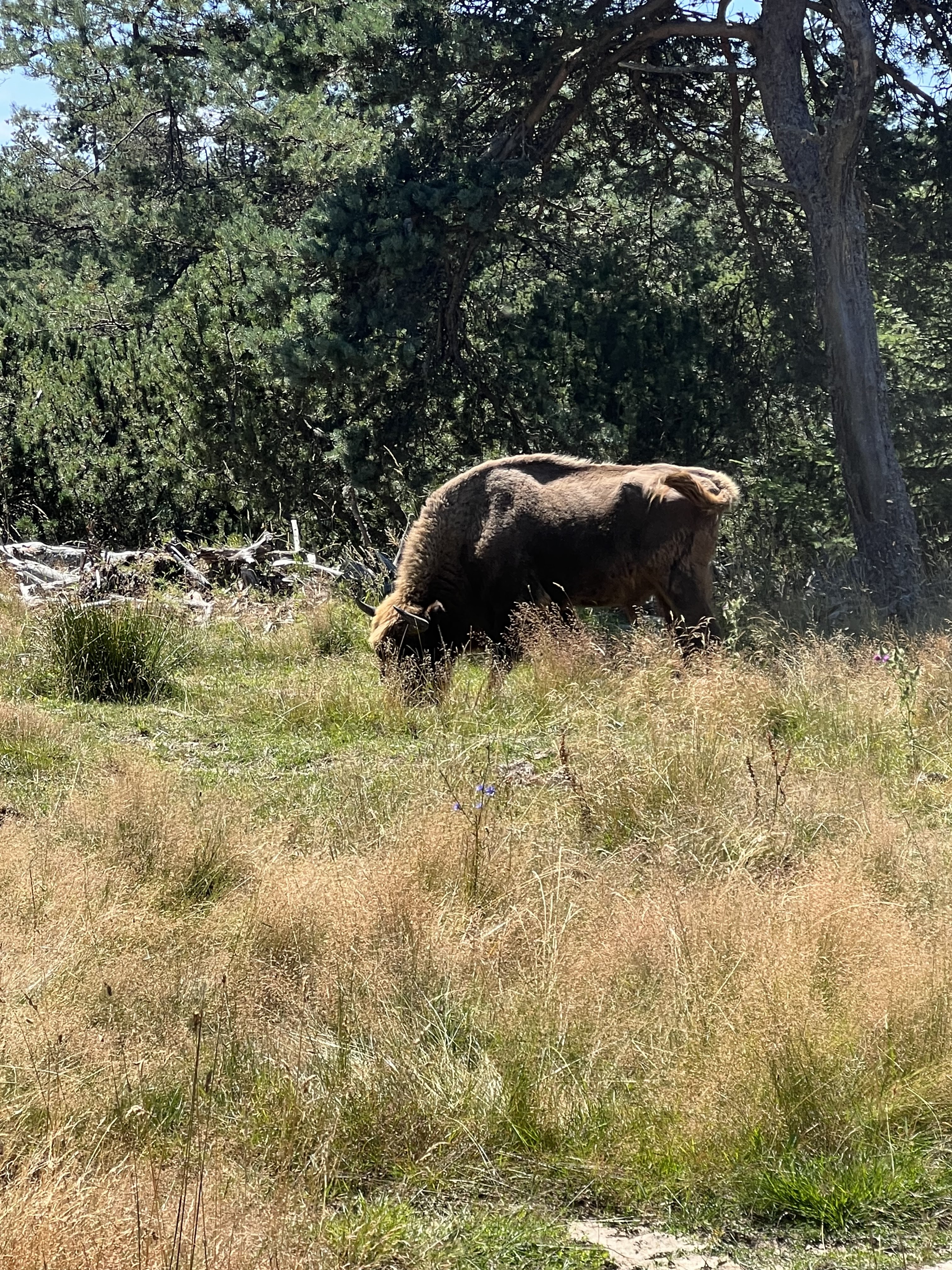 Photo n° 5 de l'avis de Emilie.O fait le 08/08/2023 à 06:51