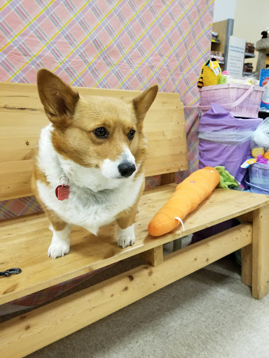 Pet Supply Store «PetSmart», reviews and photos, 2818 S Louise Ave, Sioux Falls, SD 57106, USA