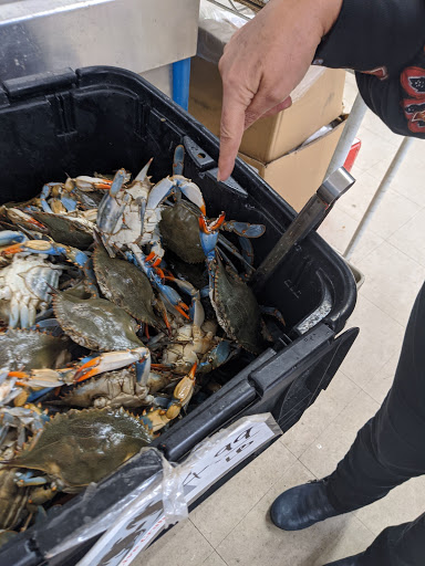 Grocery Store «Asia Mart», reviews and photos, 6103 E 86th St, Indianapolis, IN 46250, USA