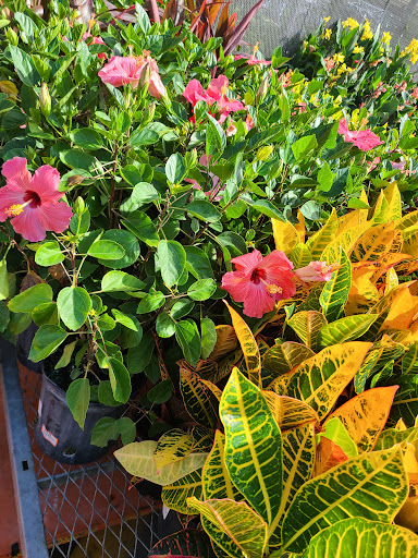 Home Improvement Store «The Home Depot», reviews and photos, 1524 E Brandon Blvd, Brandon, FL 33511, USA