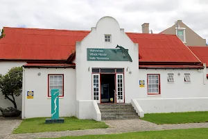 Whale Museum image