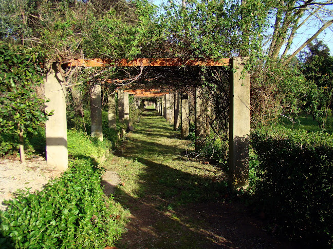 Unnamed Road, Santiago do Cacém, Portugal