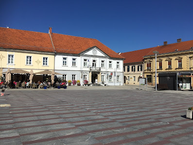 Splošna knjižnica Ljutomer Glavni trg 2, 9240 Ljutomer, Slovenija