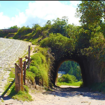 paraiso de las flores