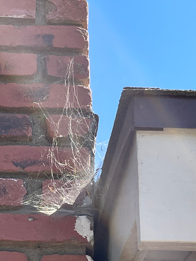Brooks Pest Control image