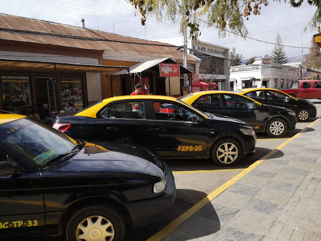 Opiniones de TAXIS BASICOS Plaza de Armas VICUÑA en Vicuña - Servicio de taxis