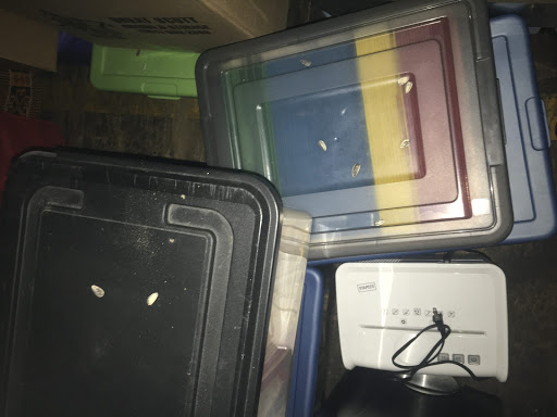 Self-Storage Facility «CubeSmart Self Storage», reviews and photos, 211 E Pleasant St, Baltimore, MD 21202, USA