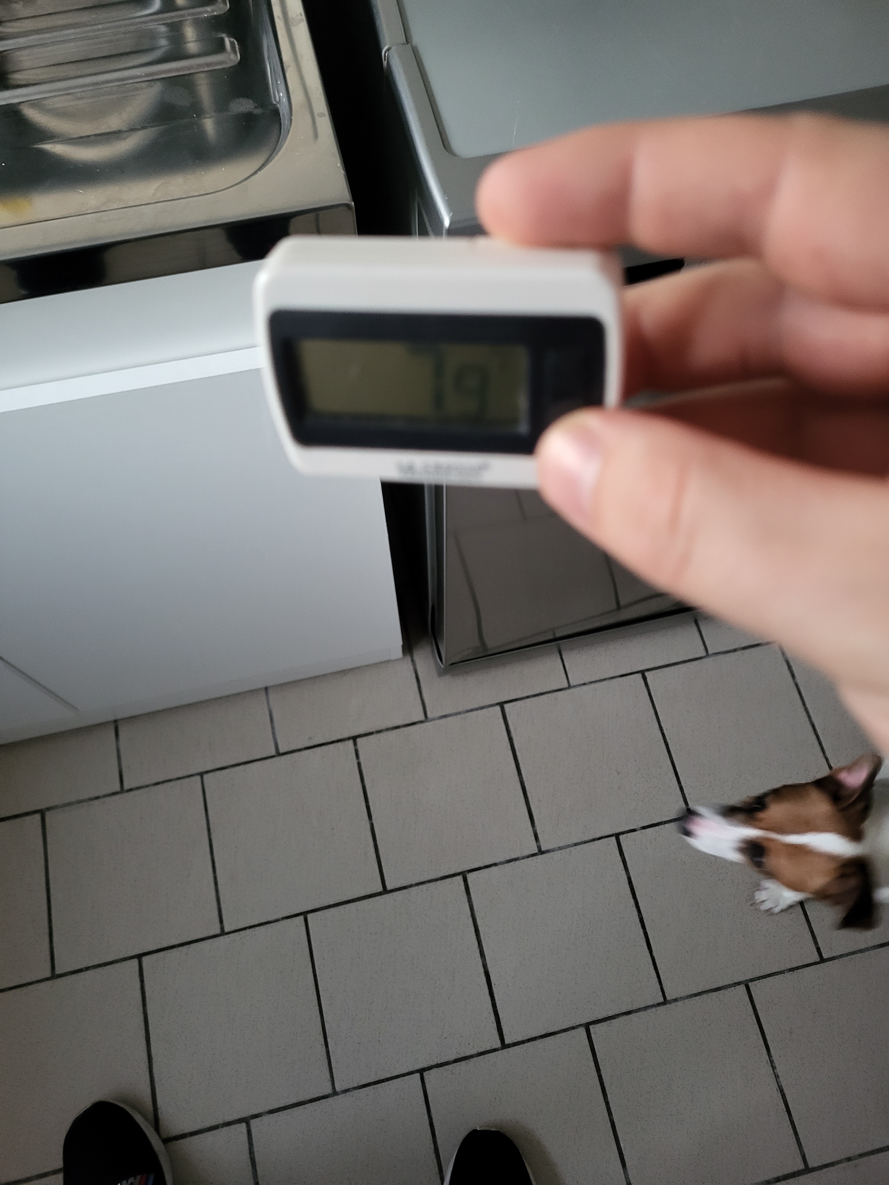 Photo n° 1 de l'avis de bocquet.i fait le 16/12/2022 à 22:55