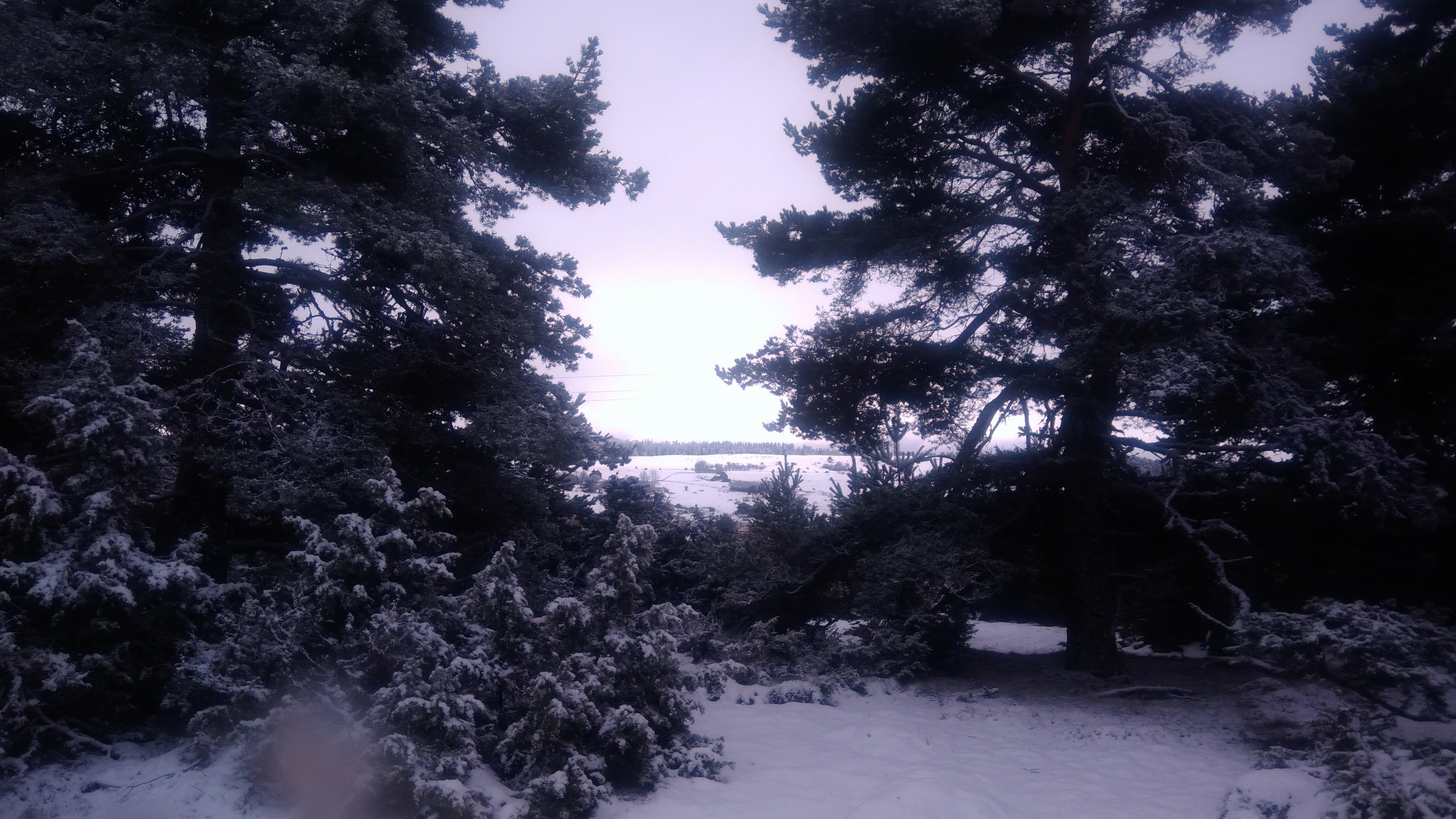 Photo n° 2 de l'avis de Fabienne.e fait le 11/03/2018 à 06:59