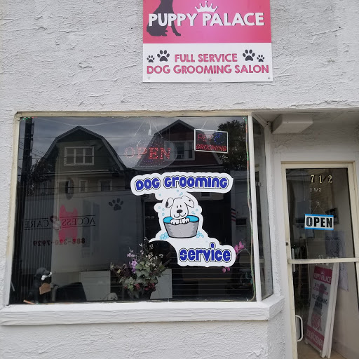 Puppy Palace Pet Groomer in North Arlington