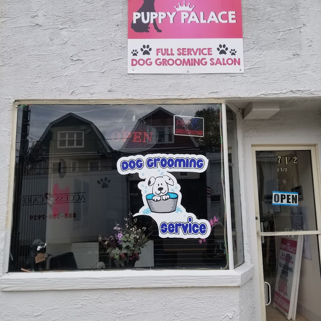 Puppy Palace