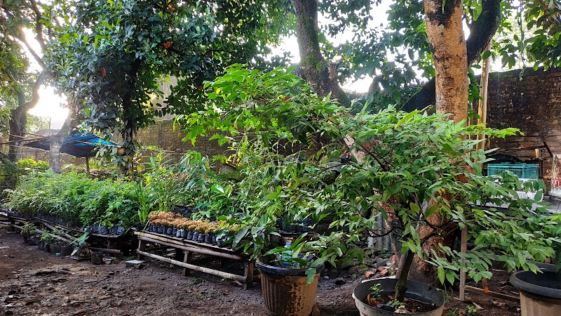 5 Tempat Menarik di Kebun Raya Kabupaten Sleman yang Wajib Dikunjungi