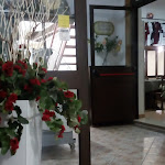 Photo n°6 de l'avis de Miky.a fait le 05/07/2018 à 21:18 sur le  Trattoria Diegolina à Guarrato