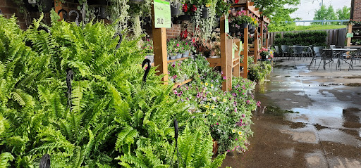 Supermarket «Wegmans», reviews and photos, 370 Orchard Park Rd, West Seneca, NY 14224, USA