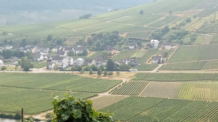 Photos des visiteurs Ferienwohnung Ferienwohnung Dücker 54340 Pölich