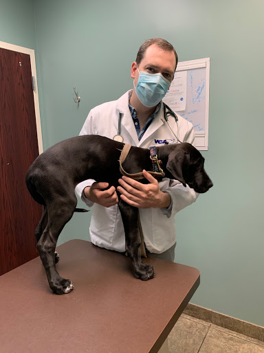 VCA All Pet Animal Hospital/Taylorsville image
