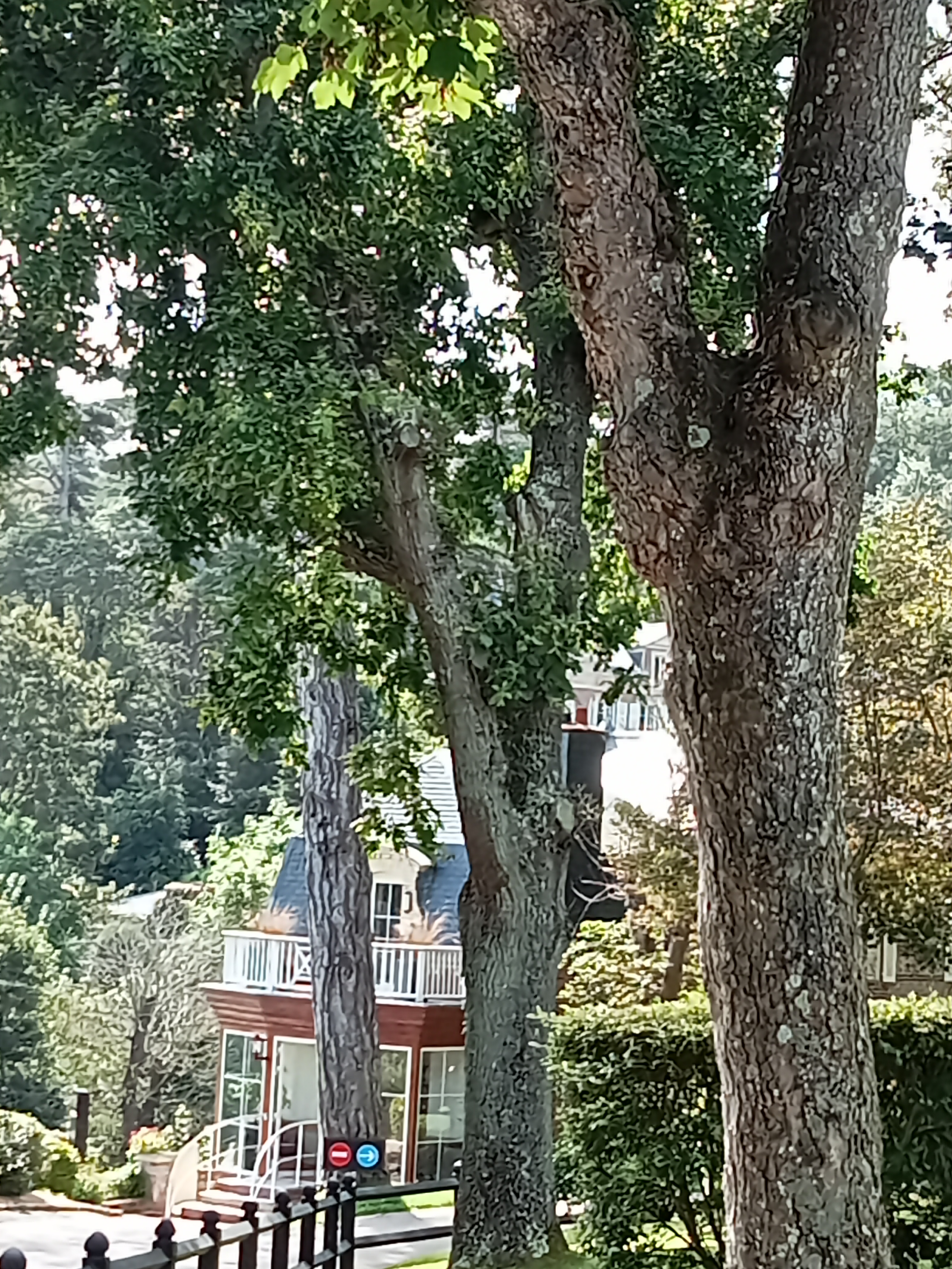 Photo n° 2 de l'avis de Borel.o fait le 24/08/2023 à 16:44