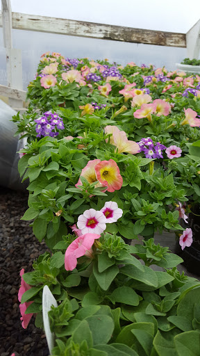 Garden Center «Nanticoke Gardens», reviews and photos, 1543 Union Center Maine Hwy, Endicott, NY 13760, USA