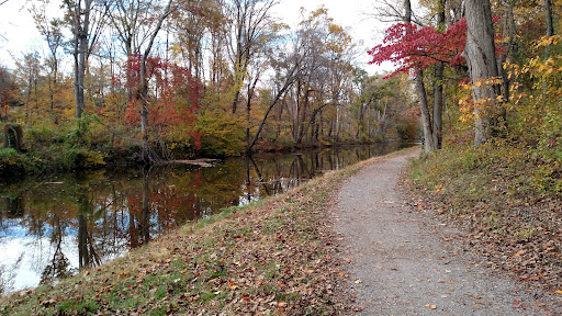 Bicycle Store «Newtown Bicycle Shop», reviews and photos, 30 N State St, Newtown, PA 18940, USA
