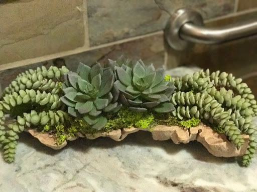 Vineyard «Kaya Vineyard & Winery», reviews and photos, 5400 Town Creek Rd, Dahlonega, GA 30533, USA