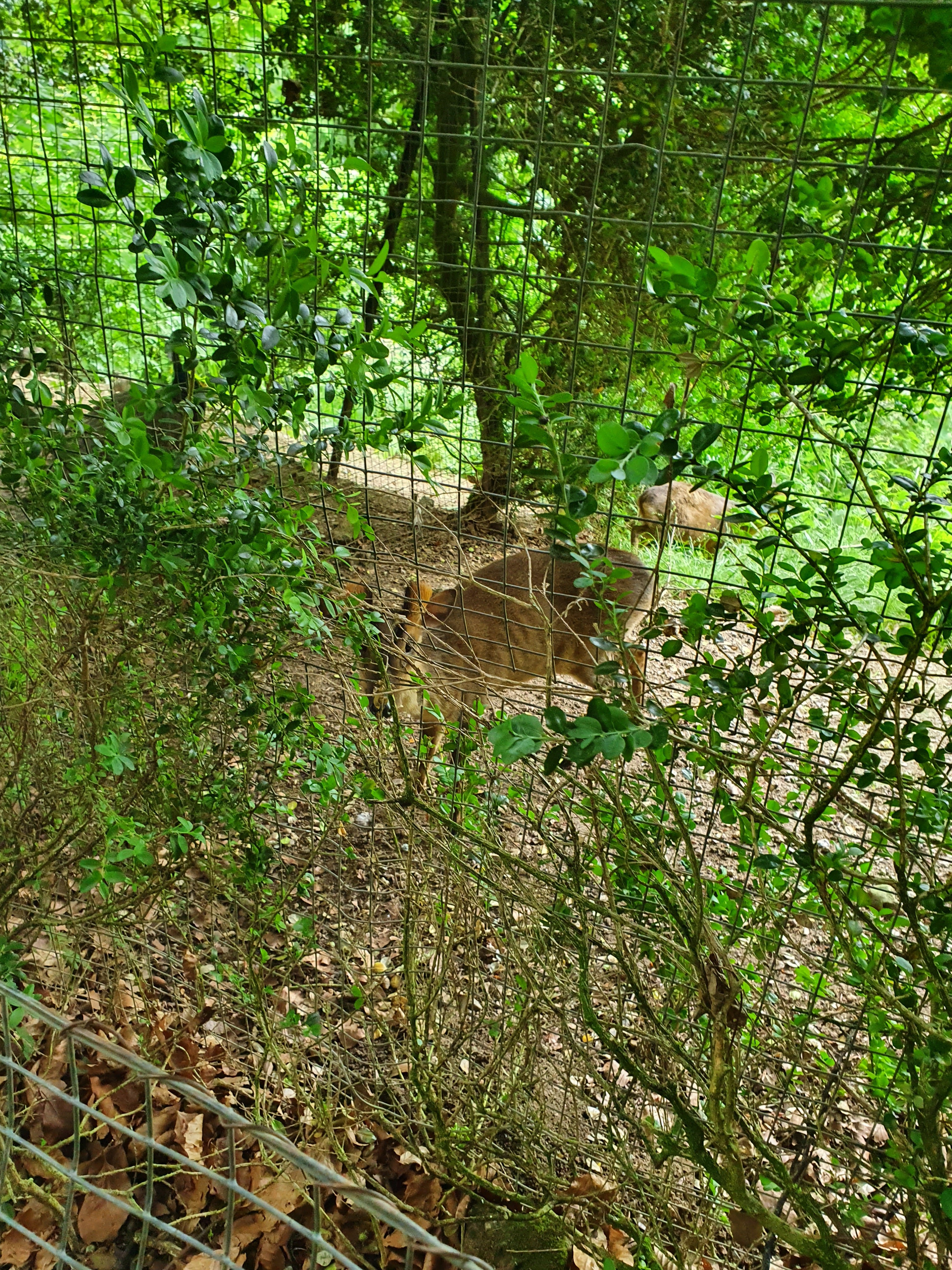 Photo n° 13 de l'avis de VIRGINIE.A fait le 10/06/2022 à 13:51