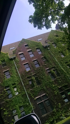 Performing Arts Theater «Collingwood Arts Center Inc», reviews and photos, 2413 Collingwood Blvd, Toledo, OH 43620, USA