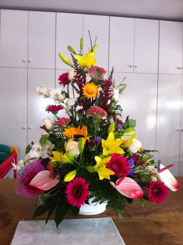 FLORISTERIA AGUADULCE