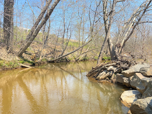 Ice Cream Shop «Cold Stone Creamery», reviews and photos, 9917 Southpoint Pkwy, Fredericksburg, VA 22407, USA