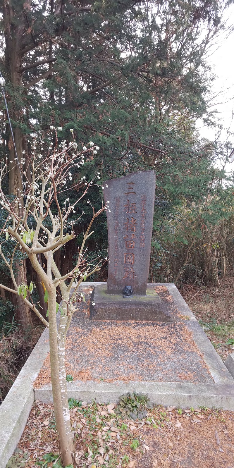 沼津三椏と楮の苗園跡地の碑