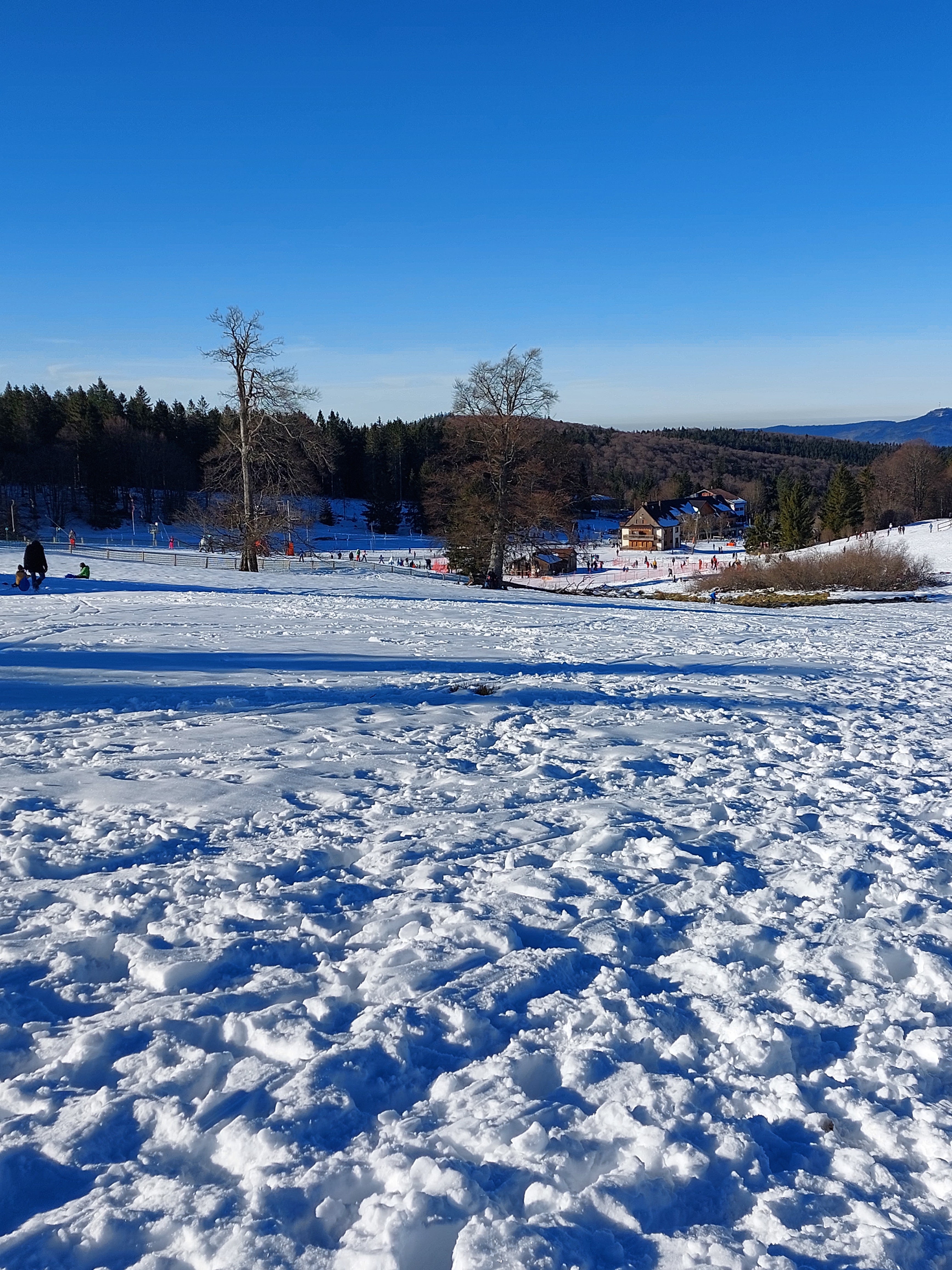 Photo n° 1 de l'avis de Marie.e fait le 17/01/2022 à 18:53