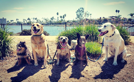 Long Beach Pet Care