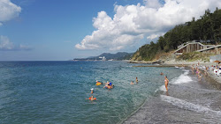 Foto di Avtotransportnik beach e l'insediamento