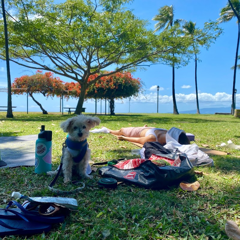 Yoga With Kumu Kate