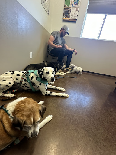 Box Elder Vet Clinic image