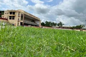 Maharana Bhupal Stadium image