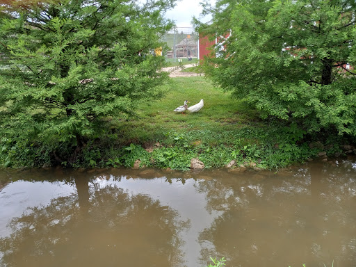 Wildlife Refuge «Big Run Wolf Ranch», reviews and photos, 14857 N Farrell Rd, Lockport, IL 60441, USA