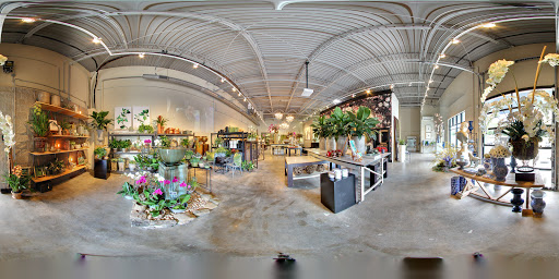 Florist «Tanarah Luxe Floral», reviews and photos, 2326 Cantrell Rd, Little Rock, AR 72202, USA