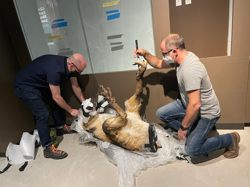 Art Museum «Bruce Museum», reviews and photos, 1 Museum Dr, Greenwich, CT 06830, USA