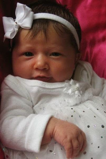 Toy Store «Tip Toes», reviews and photos, 60 E 8th St, Holland, MI 49423, USA