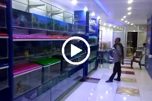 Muskan Fish & Pet Shop image
