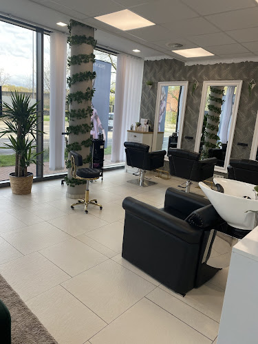 Salon Image