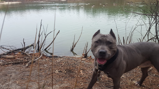 Disc Golf Course «South Vineland Disc Golf Course- Crystal Lake», reviews and photos, W Elmer Rd, Vineland, NJ 08360, USA