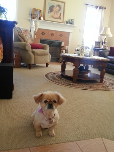 Painter «CertaPro Painters of the Greater Lehigh Valley», reviews and photos, 7001 PA-309 Suite 169, Coopersburg, PA 18036, USA