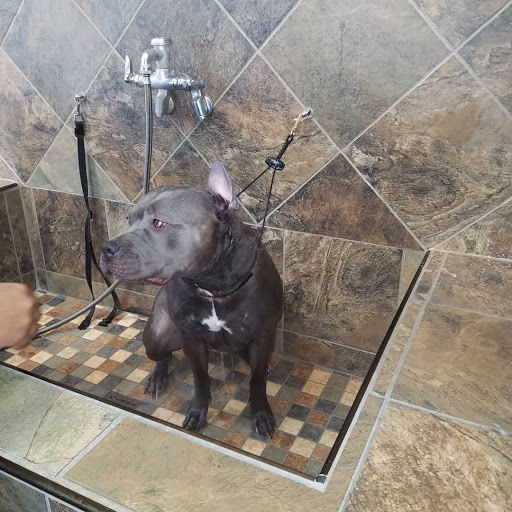 Pet Store «Pet Valu», reviews and photos, 1091 Mill Creek Rd #5a, Allentown, PA 18106, USA