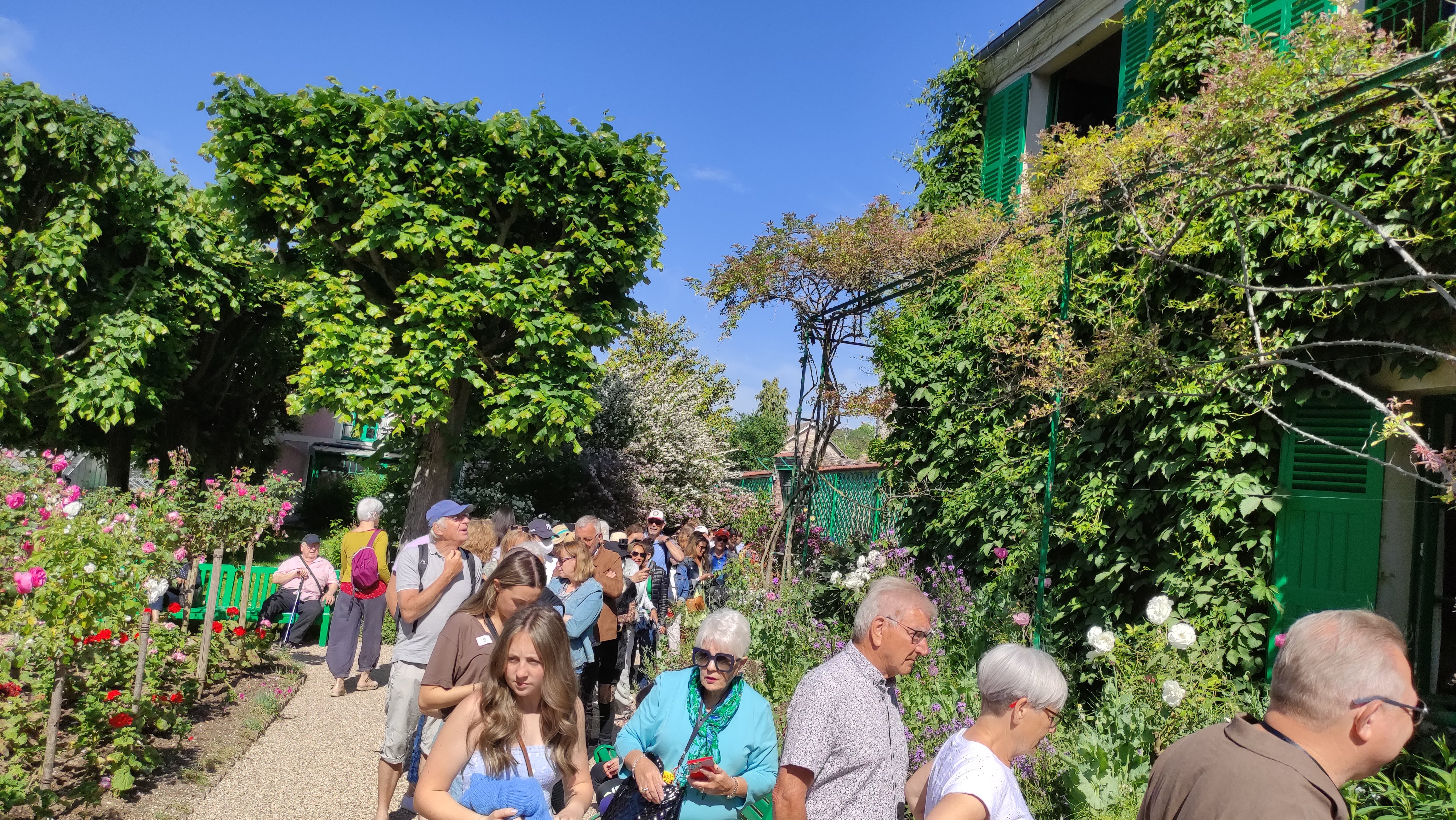 Photo n° 3 de l'avis de Diord.e fait le 01/06/2023 à 16:56