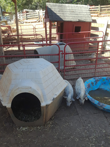 Zoo «North Georgia Zoo & Farm», reviews and photos, 2912 Paradise Valley Rd, Cleveland, GA 30528, USA