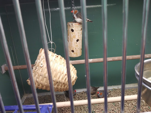 Pet Supply Store «Pet Club Santa Rosa», reviews and photos, 1935 Santa Rosa Ave, Santa Rosa, CA 95407, USA