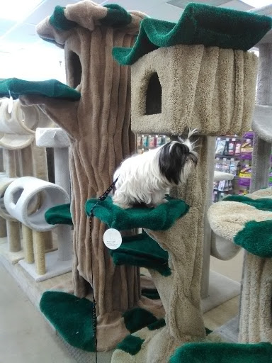 Pet Supply Store «Pet Supply», reviews and photos, 18545 Brookhurst St, Fountain Valley, CA 92708, USA