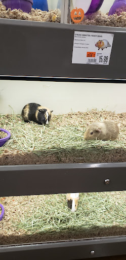 Pet Supply Store «Pet Supplies Plus», reviews and photos, 375 Paterson Ave #105, Wallington, NJ 07057, USA